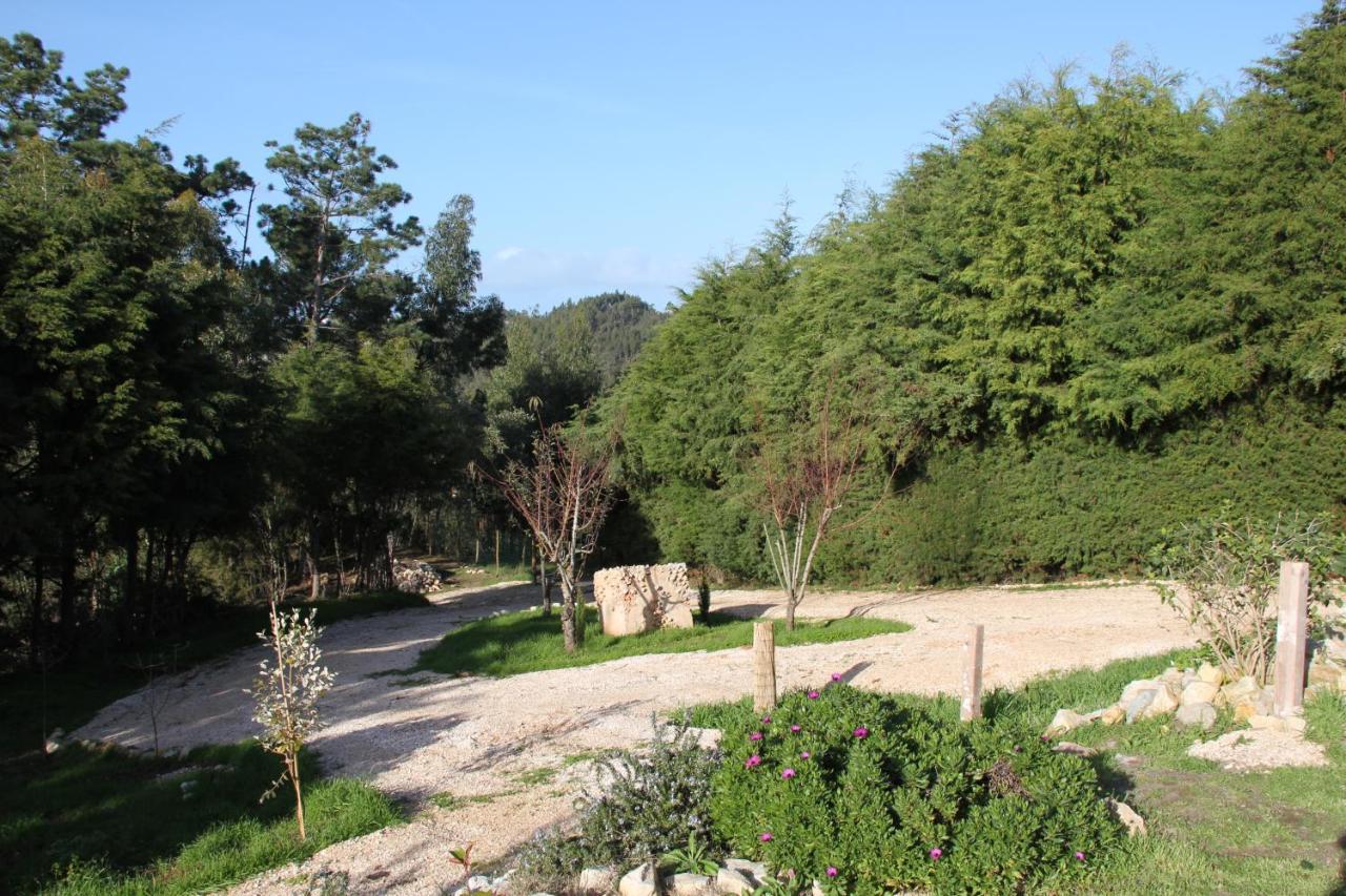 Quinta Japonesa Bed & Breakfast Carvalhal Bemfeito Bagian luar foto