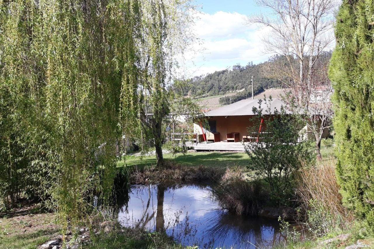 Quinta Japonesa Bed & Breakfast Carvalhal Bemfeito Bagian luar foto