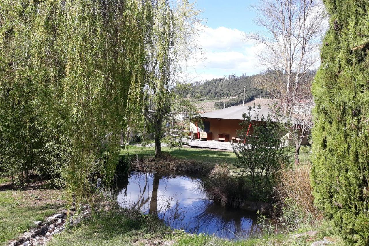 Quinta Japonesa Bed & Breakfast Carvalhal Bemfeito Bagian luar foto