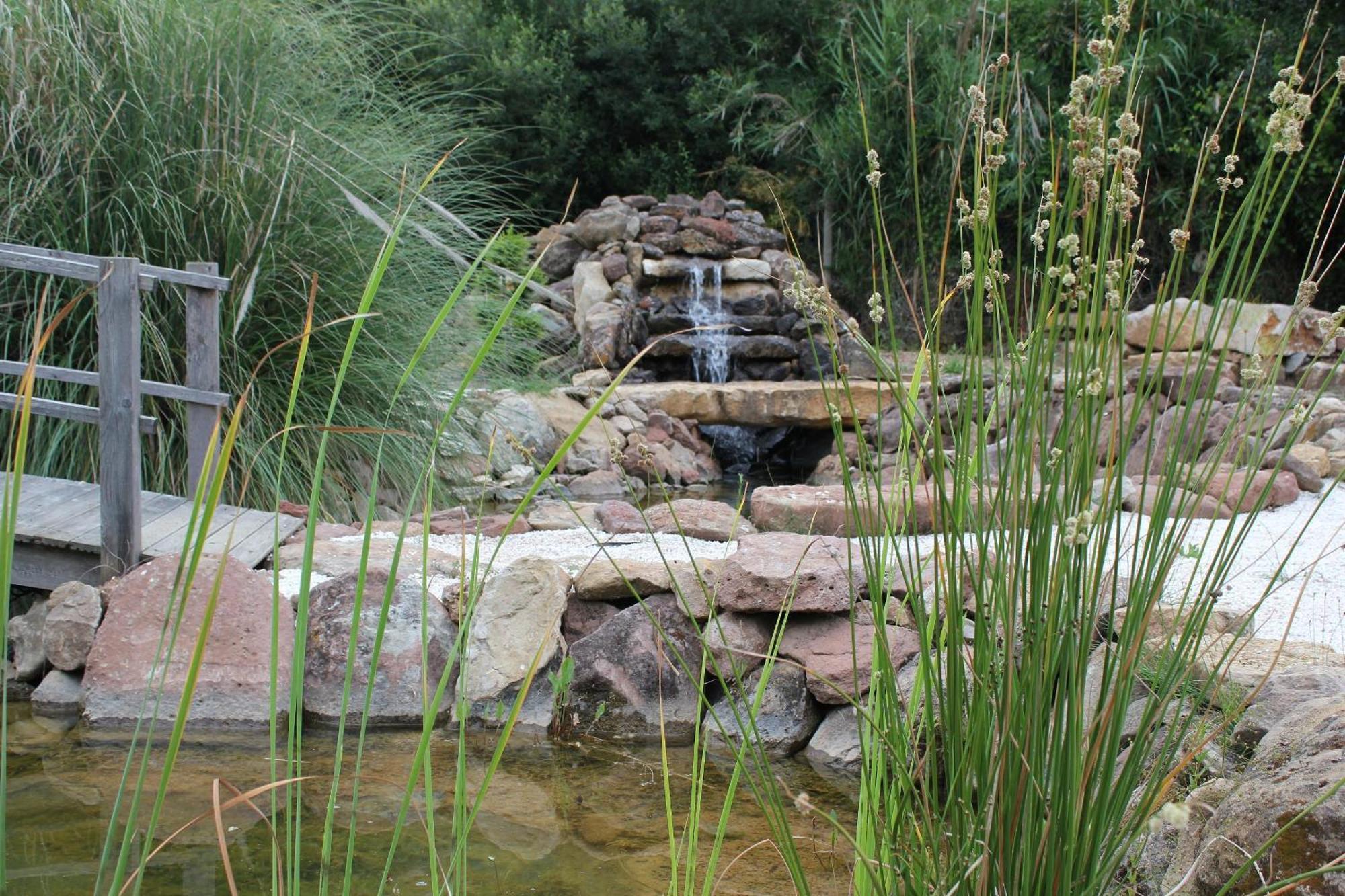 Quinta Japonesa Bed & Breakfast Carvalhal Bemfeito Bagian luar foto