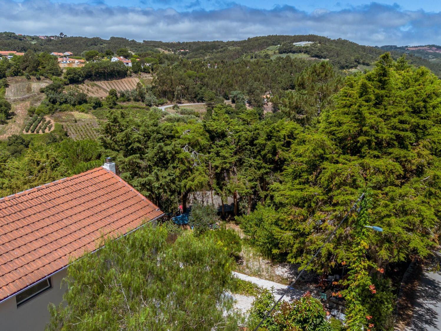 Quinta Japonesa Bed & Breakfast Carvalhal Bemfeito Bagian luar foto